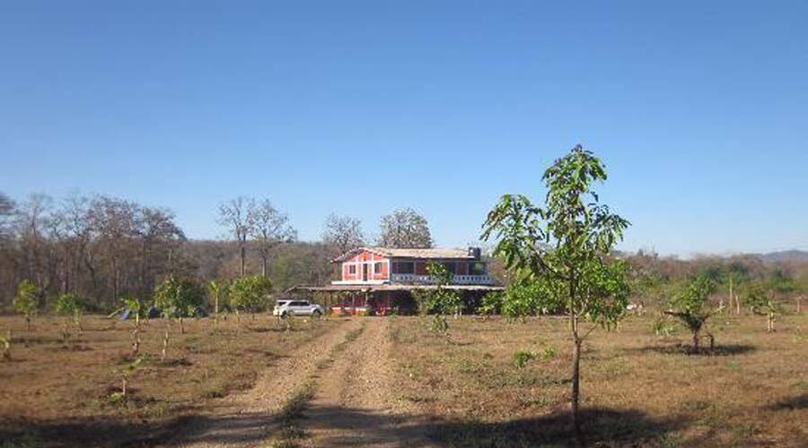 Stanley's Farm House, Dandeli 4